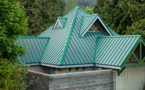 Best Roof Moss and Algae Removal  in Alva, OK